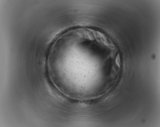 X0000112540592200909071423