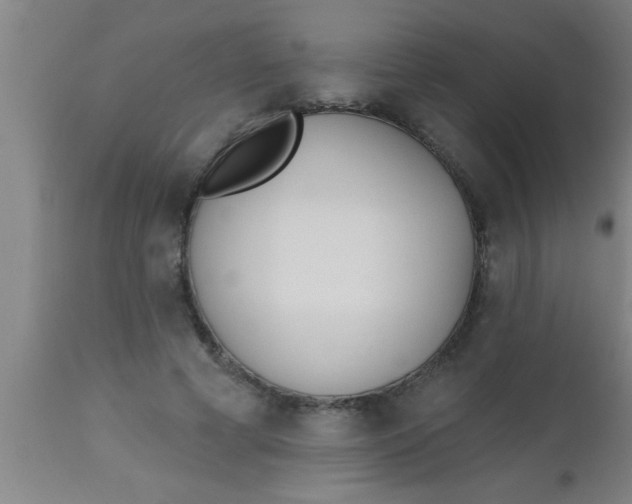 X0000112540593200909071423