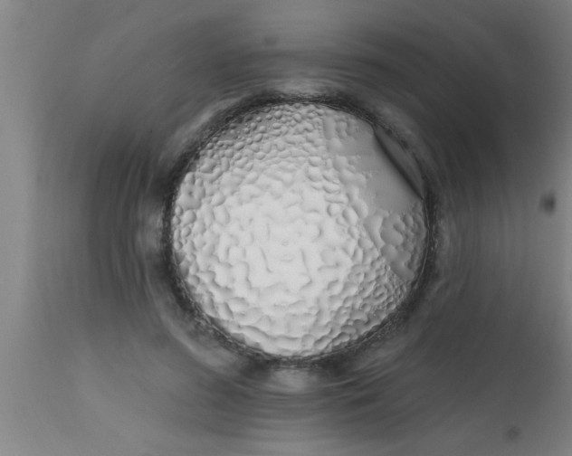 X0000112540596200909071423