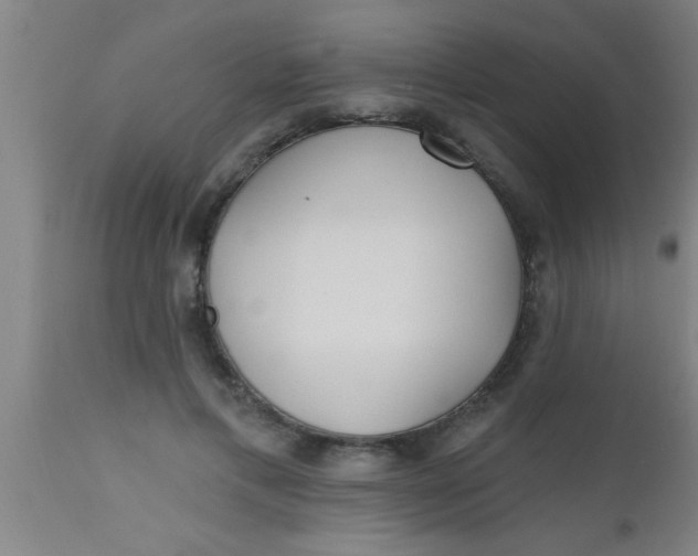 X0000112540597200909071423