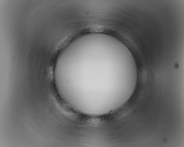 X0000112540598200909071423