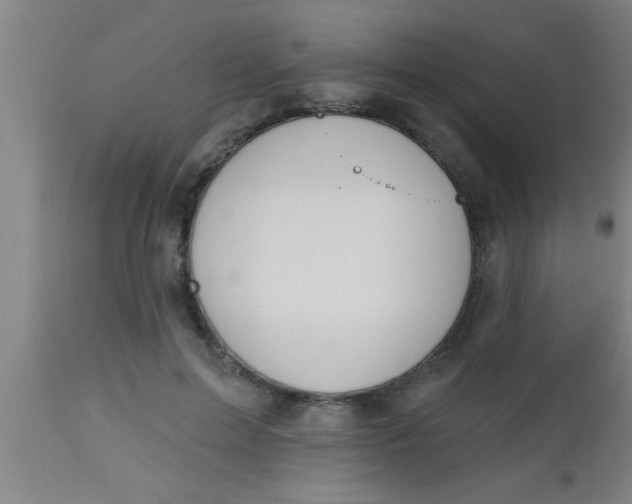 X0000112540599200909071423