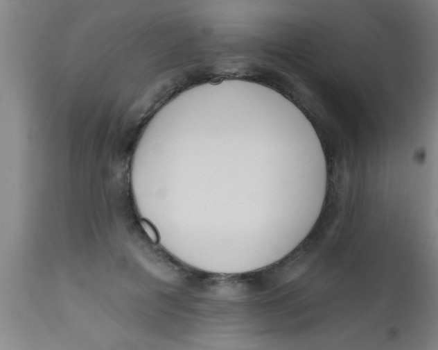 X0000112540601200909071423
