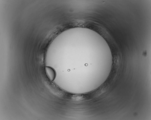 X0000112540602200909071423