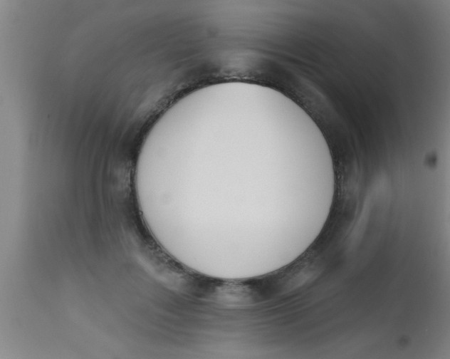 X0000112540603200909071423