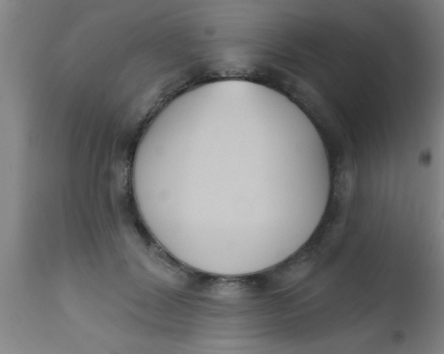 X0000112540604200909071423