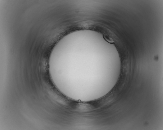 X0000112540605200909071423