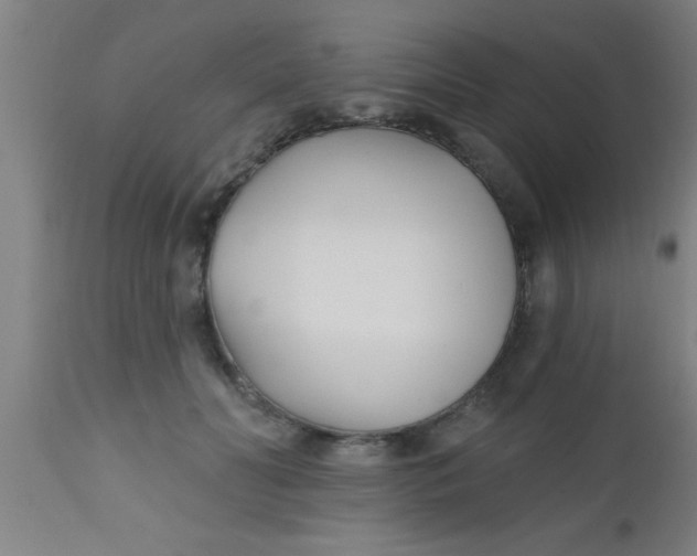 X0000112540606200909071423
