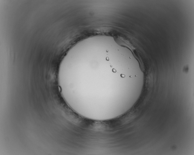 X0000112540608200909071423