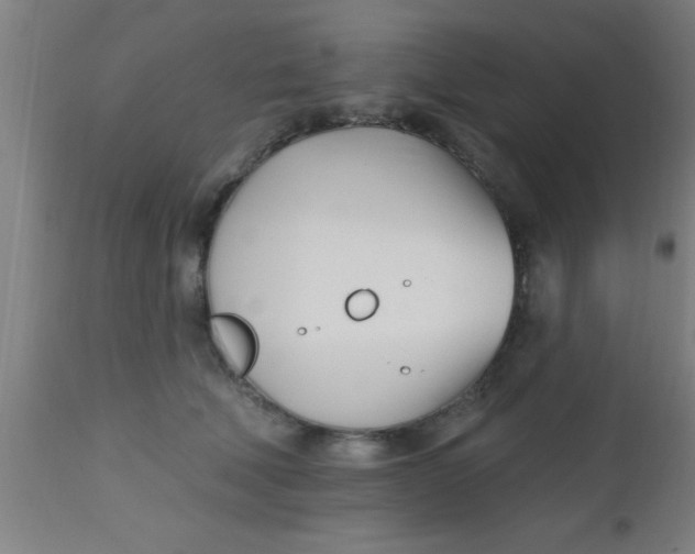 X0000112540610200909071423