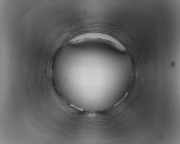 X0000112540611200909071423