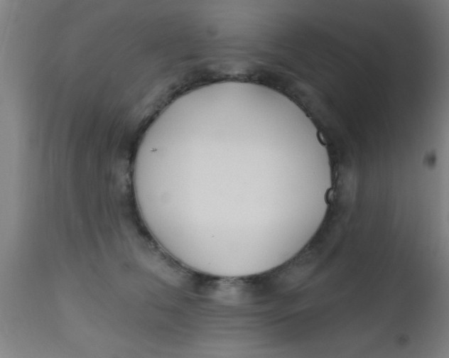 X0000112540612200909071423