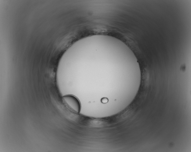 X0000112540614200909071423