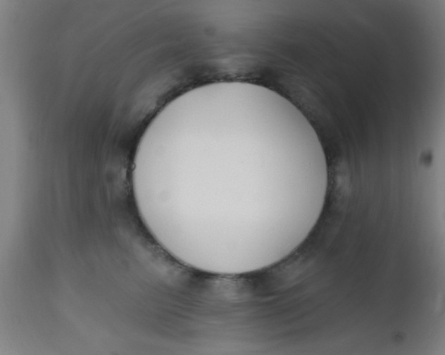 X0000112540615200909071423