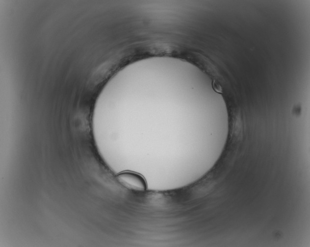 X0000112540616200909071423