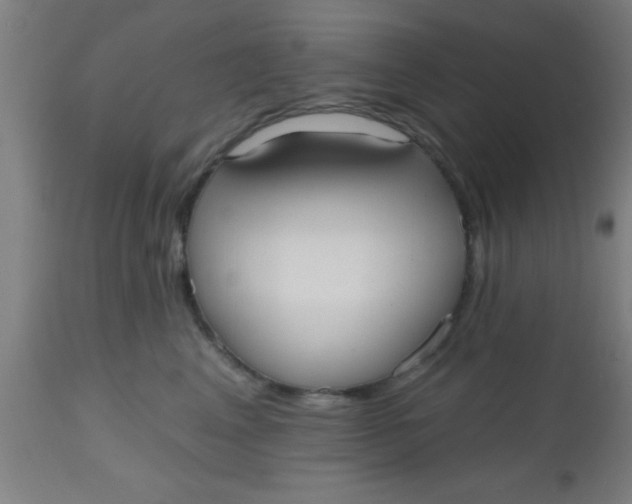 X0000112540617200909071423