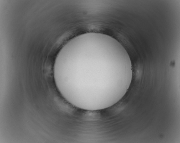 X0000112540619200909071423