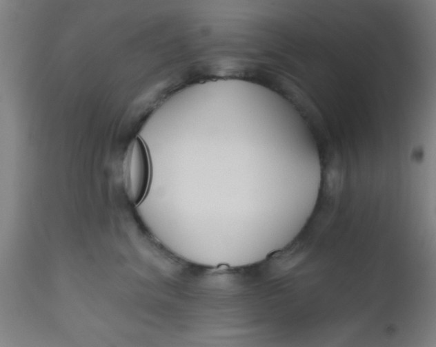 X0000112540620200909071423