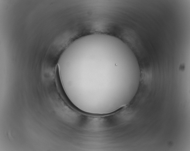 X0000112540621200909071423
