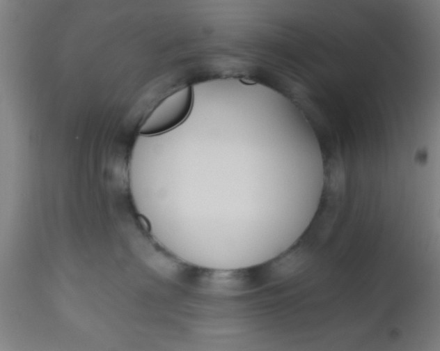 X0000112540622200909071423