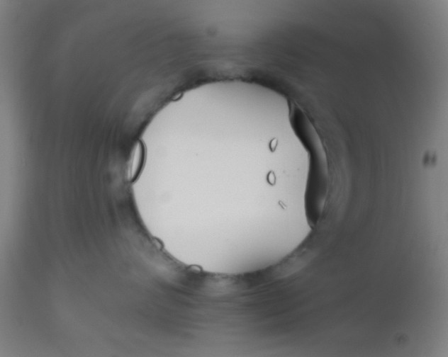 X0000112540624200909071423