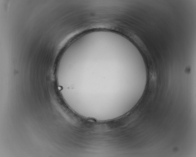 X0000112540628200909071422