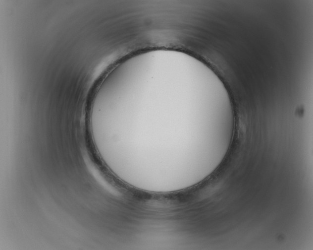 X0000112540630200909071422