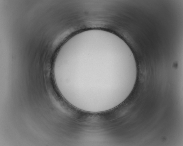 X0000112540631200909071422
