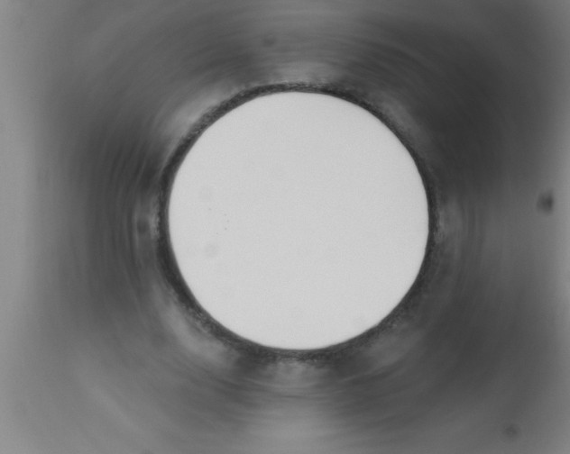 X0000112540632200909071422