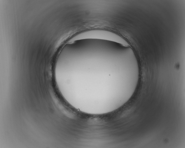 X0000112540634200909071422