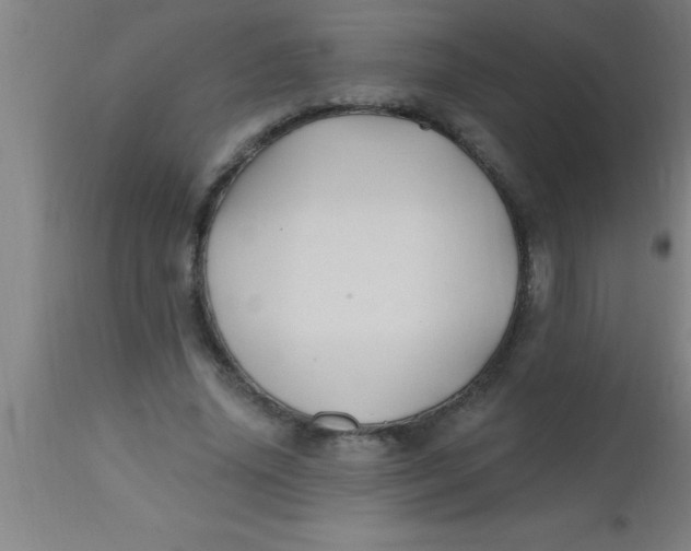X0000112540636200909071422