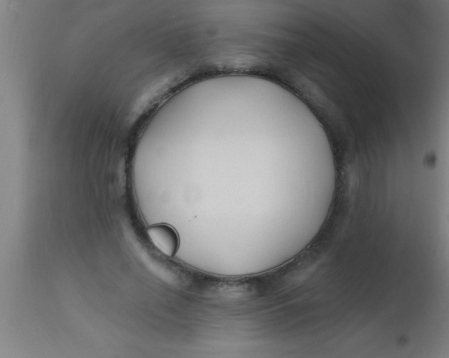 X0000112540638200909071422