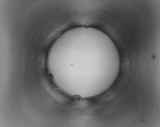 X0000112540639200909071422