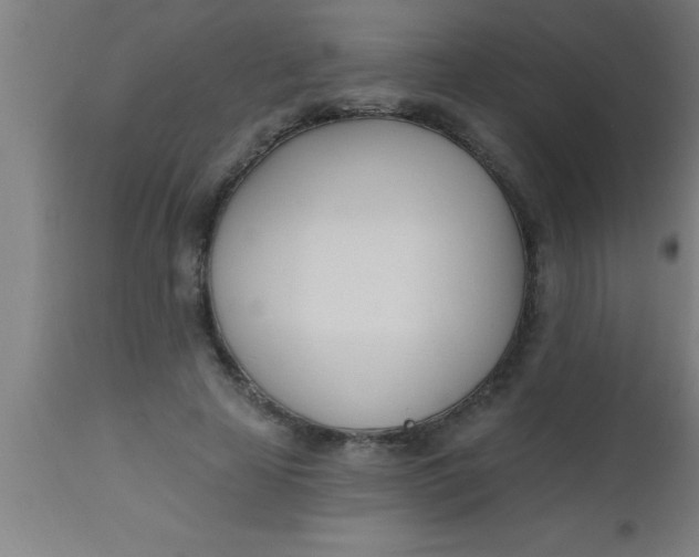 X0000112540641200909071422