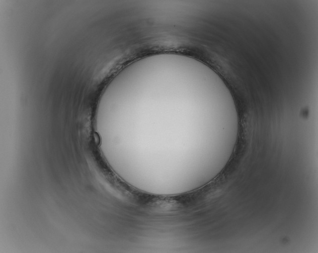 X0000112540642200909071422
