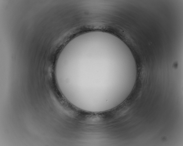 X0000112540643200909071422