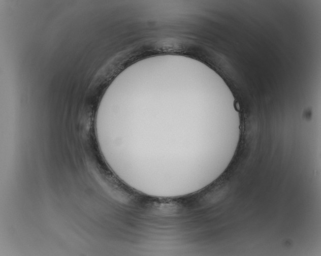 X0000112540645200909071422