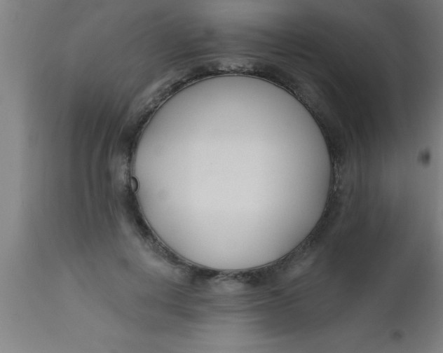 X0000112540648200909071422