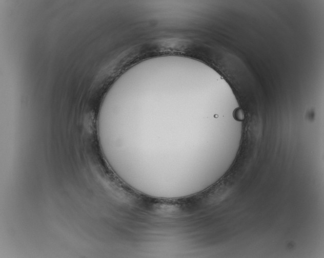 X0000112540649200909071422