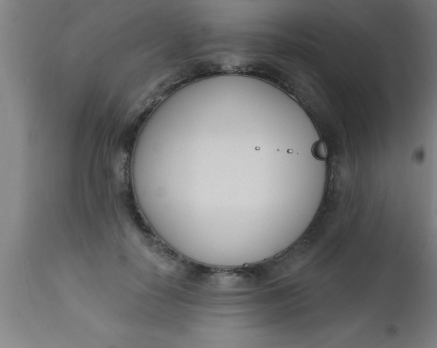 X0000112540650200909071422