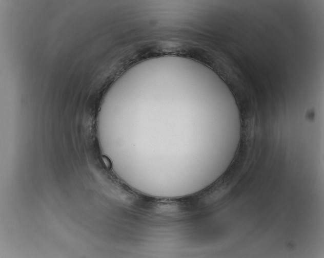 X0000112540653200909071422