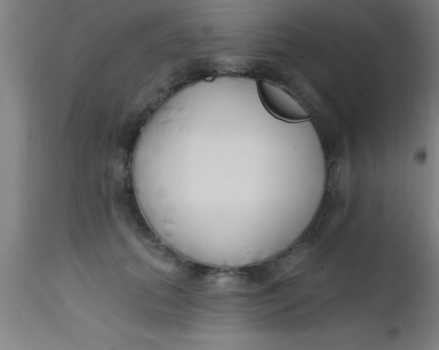 X0000112540655200909071422