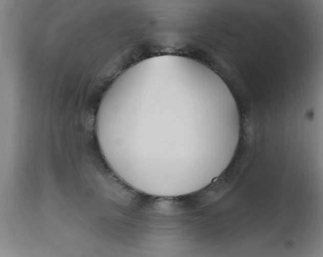 X0000112540657200909071422