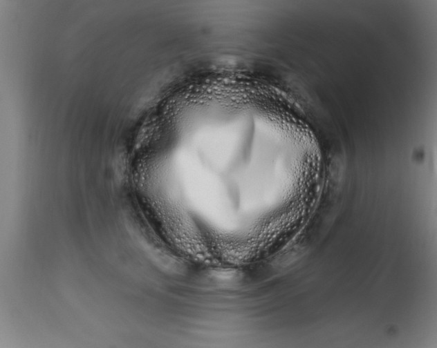 X0000112540659200909071422