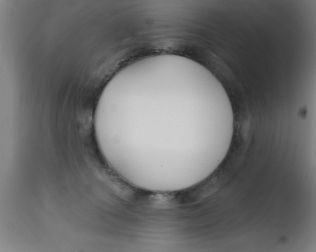 X0000112540660200909071422