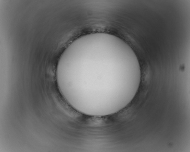 X0000112540661200909071422