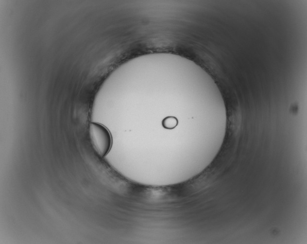 X0000112540662200909071422