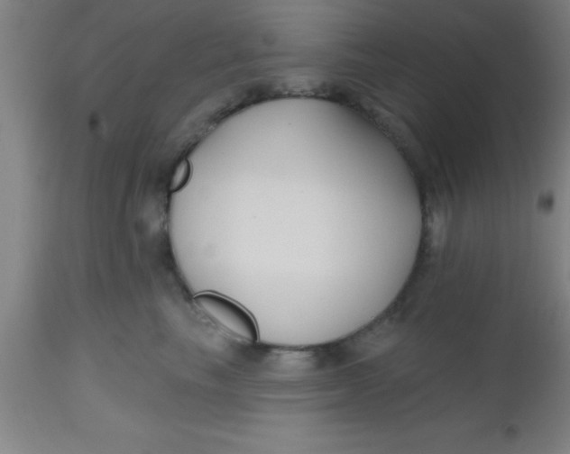 X0000112540665200909071423