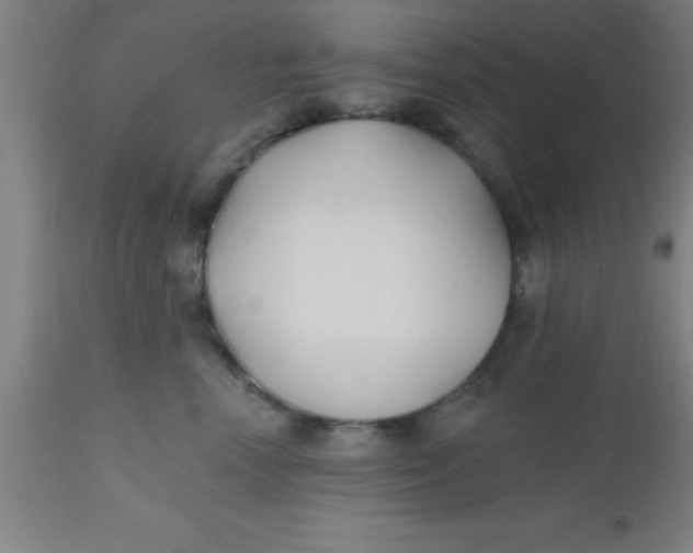 X0000112540666200909071423