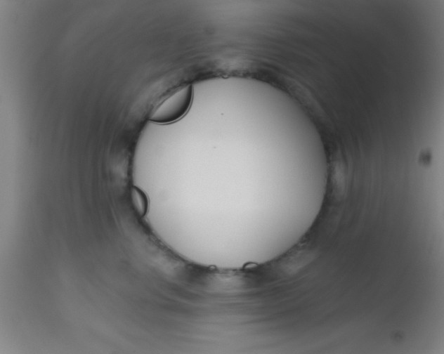 X0000112540668200909071423
